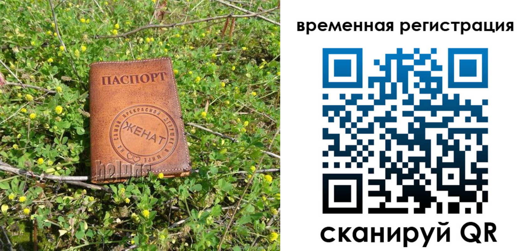прописка регистрация в Кимовске